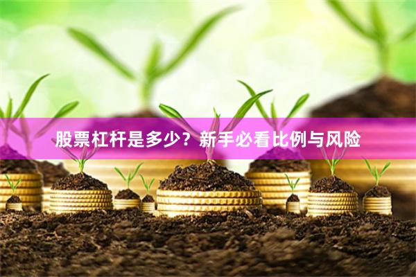 股票杠杆是多少？新手必看比例与风险