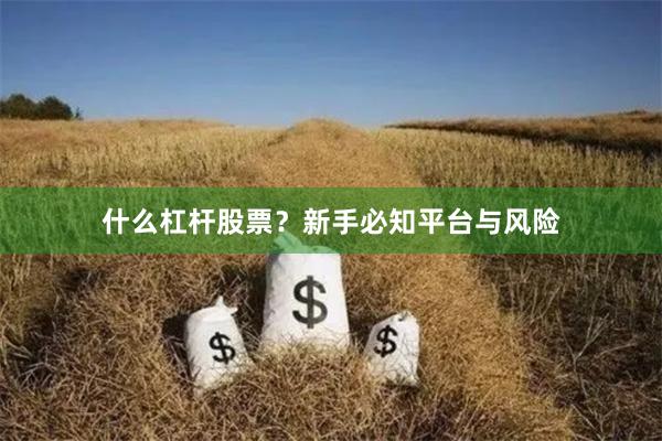 什么杠杆股票？新手必知平台与风险
